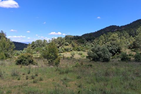 Helårsgrund i Rasquera, Tarragona, Rasquera - € 50.000 | Ref: EXP14478/8930 - foto 24