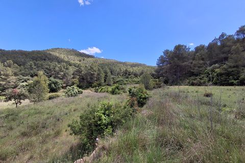 Helårsgrund i Rasquera, Tarragona, Rasquera - € 50.000 | Ref: EXP14478/8930 - foto 26