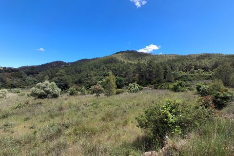 Helårsgrund i Rasquera, Tarragona, Rasquera - € 50.000 | Ref: EXP14478/8930 - foto 28