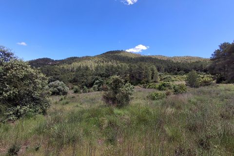 Helårsgrund i Rasquera, Tarragona, Rasquera - € 50.000 | Ref: EXP14478/8930 - foto 29