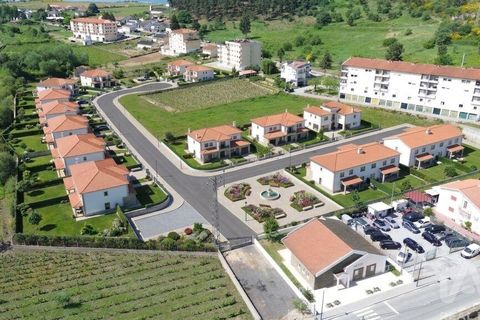 Terra a Alijo, Vila Real, Alijo - € 700.000 | Ref: 919288 - foto 3