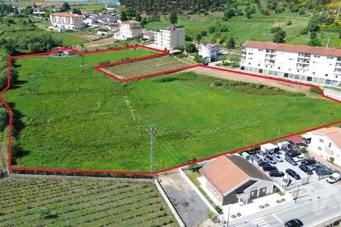 Terra a Alijo, Vila Real, Alijo - € 700.000 | Ref: 919288 - foto 4