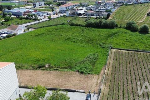 Terra a Alijo, Vila Real, Alijo - € 700.000 | Ref: 919288 - foto 5