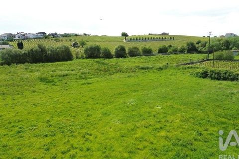 Terra a Alijo, Vila Real, Alijo - € 700.000 | Ref: 919288 - foto 6