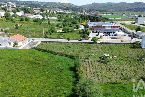 Terra a Alijo, Vila Real, Alijo - € 700.000 | Ref: 919288 - foto 7