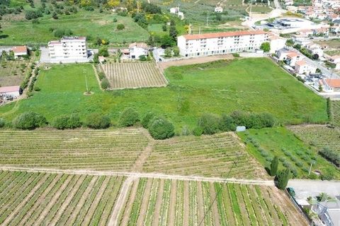 Terra a Alijo, Vila Real, Alijo - € 700.000 | Ref: 919288 - foto 8