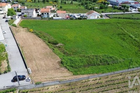 Terra a Alijo, Vila Real, Alijo - € 700.000 | Ref: 919288 - foto 10