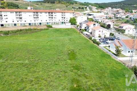 Terra a Alijo, Vila Real, Alijo - € 700.000 | Ref: 919288 - foto 11