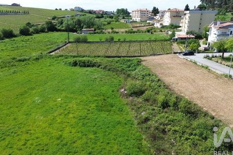 Terra a Alijo, Vila Real, Alijo - € 700.000 | Ref: 919288 - foto 12