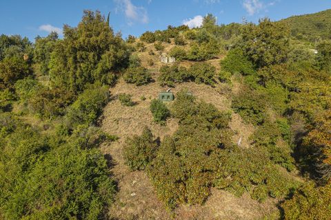 Cortijo i Ojen, Malaga, Ojen - € 265.000 | Ref: R5394229 - foto 30