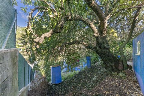 Cortijo i Ojen, Malaga, Ojen - € 265.000 | Ref: R5394229 - foto 35