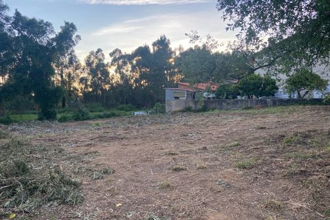 Helårsgrund i Anadia, Aveiro, Anadia - € 50.000 | Ref: 73/2026 ES - foto 2
