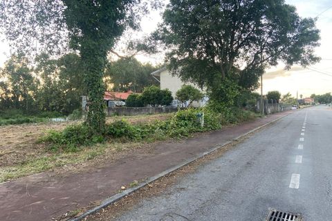 Helårsgrund i Anadia, Aveiro, Anadia - € 50.000 | Ref: 73/2026 ES - foto 3