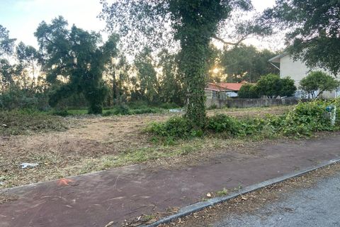 Helårsgrund i Anadia, Aveiro, Anadia - € 50.000 | Ref: 73/2026 ES - foto 4