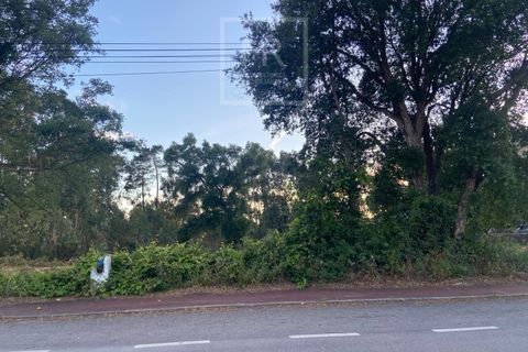 Helårsgrund i Anadia, Aveiro, Anadia - € 50.000 | Ref: 73/2026 ES - foto 6