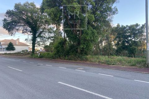 Helårsgrund i Anadia, Aveiro, Anadia - € 50.000 | Ref: 73/2026 ES - foto 9