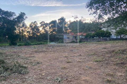 Helårsgrund i Anadia, Aveiro, Anadia - € 50.000 | Ref: 73/2026 ES - foto 11