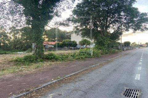 Helårsgrund i Anadia, Aveiro, Anadia - € 50.000 | Ref: 73/2026 ES - foto 12