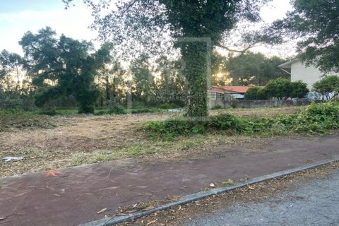 Helårsgrund i Anadia, Aveiro, Anadia - € 50.000 | Ref: 73/2026 ES - foto 13