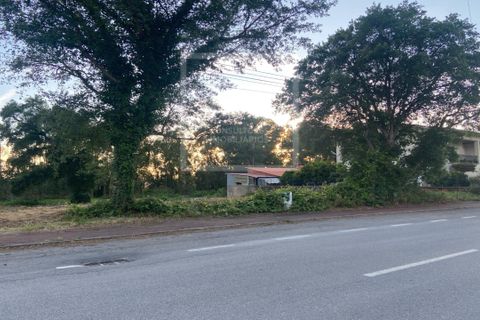 Helårsgrund i Anadia, Aveiro, Anadia - € 50.000 | Ref: 73/2026 ES - foto 15