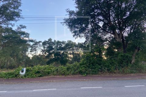 Helårsgrund i Anadia, Aveiro, Anadia - € 50.000 | Ref: 73/2026 ES - foto 16