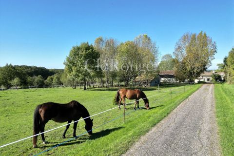 Villa a Duras, Lot-et-Garonne, Duras - € 470.000 | Ref: CTR027 - foto 2