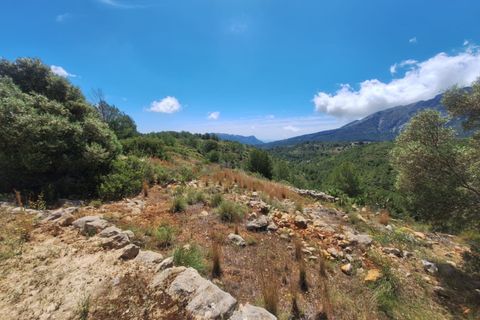 Herregård i Lliber, Alicante, Lliber - € 499 900 | Ref: C618 - foto 6