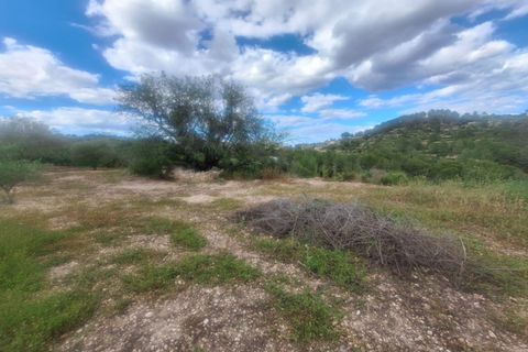 Herregård i Lliber, Alicante, Lliber - € 499 900 | Ref: C618 - foto 17