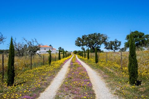 Villa i Ourique, Beja, Ourique - € 849.000 | Ref: SVP2413a - foto 5