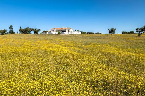 Villa i Ourique, Beja, Ourique - € 849.000 | Ref: SVP2413a - foto 27
