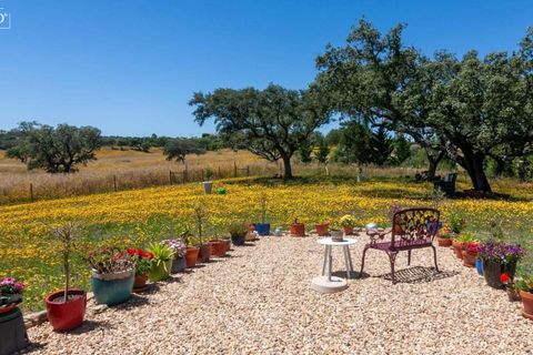 Villa i Ourique, Beja, Ourique - € 849.000 | Ref: SVP2413a - foto 29