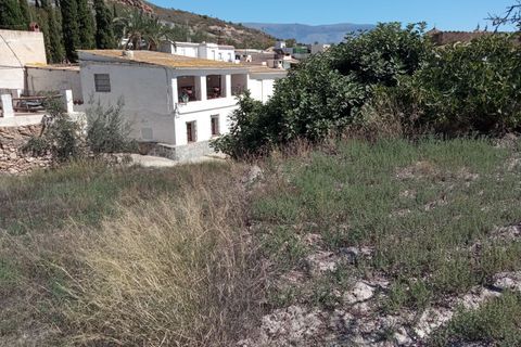 Terra a Turon, Granada, Turon - € 11.500 | Ref: Ramblilla Ánimas 6 - foto 8