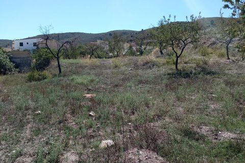 Terra a Turon, Granada, Turon - € 11.500 | Ref: Ramblilla Ánimas 6 - foto 10