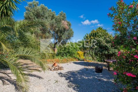 Byhus i Algoz, Faro, Algoz - € 465.000 | Ref: KP1352 - foto 11