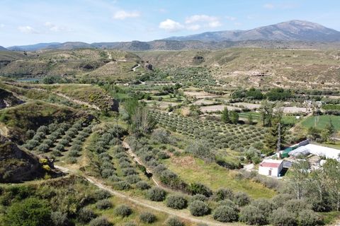 Cave house i Caniles, Granada, Caniles - € 75.000 | Ref: v3152 - foto 5