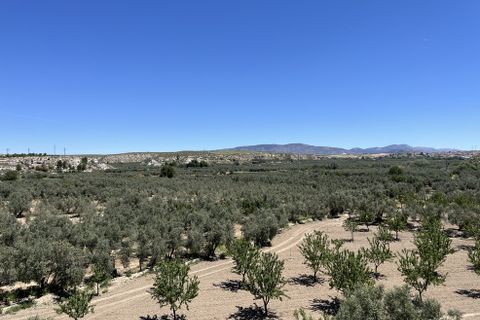 Grotwoning in Cullar, Granada, Cullar - € 175.000 | Ref: v3157 - foto 15