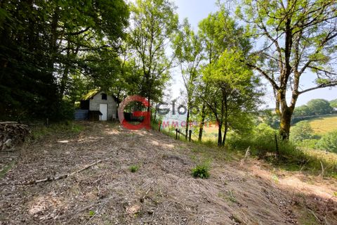 Villa i Lacaune, Tarn, Lacaune - € 298.000 | Ref: 7481 - foto 18