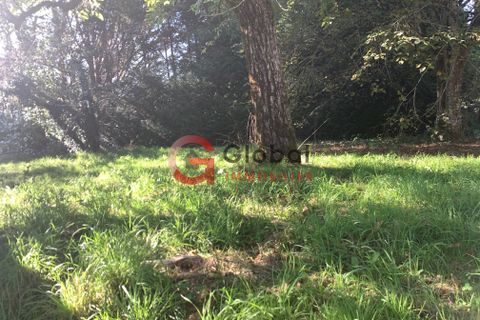 Villa a Madranges, Correze, Madranges - € 49.000 | Ref: 7884 - foto 6
