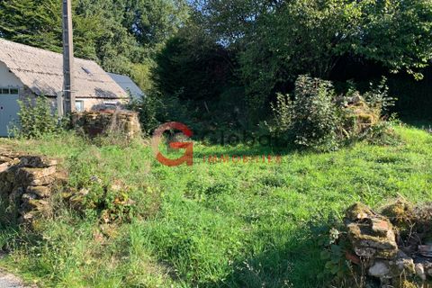 Villa a Madranges, Correze, Madranges - € 49.000 | Ref: 7884 - foto 12