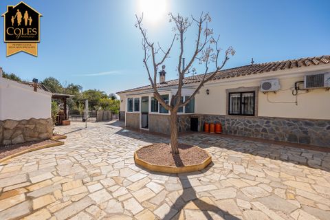Villa i Cantoria, Almeria, Cantoria - € 374.950 | Ref: CAN4V02 - foto 38