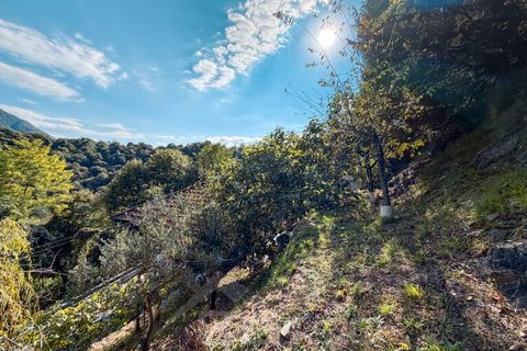 Villa i Omegna, Verbano Cusio Ossola, Omegna - € 197.000 | Ref: T3117 - foto 29