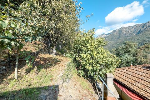 Villa i Omegna, Verbano Cusio Ossola, Omegna - € 197.000 | Ref: T3117 - foto 31