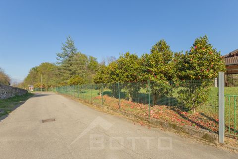 Terra a Nonio, Verbano Cusio Ossola, Nonio - € 170.000 | Ref: T090 - foto 36