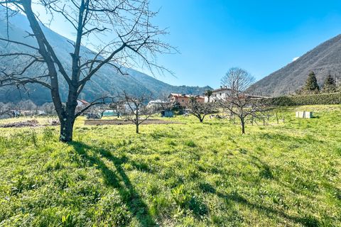 Helårsgrund i Cannobio, Verbano Cusio Ossola, Cannobio - € 395.000 | Ref: T099 - foto 15