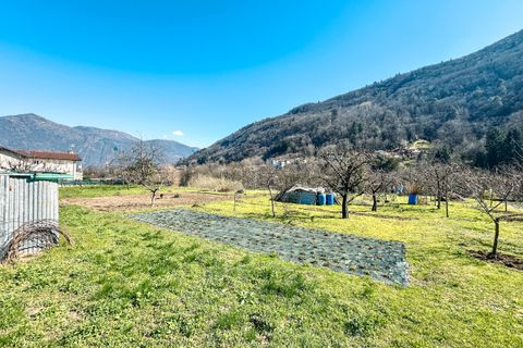 Helårsgrund i Cannobio, Verbano Cusio Ossola, Cannobio - € 395.000 | Ref: T099 - foto 18