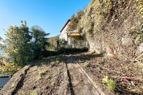 Villa i Cannobio, Verbano Cusio Ossola, Cannobio - € 550.000 | Ref: T3185 - foto 30