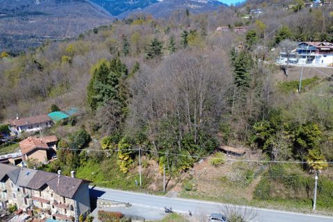 Tomt i Vignone, Verbano Cusio Ossola, Vignone - € 139 000 | Ref: T0112 - foto 4