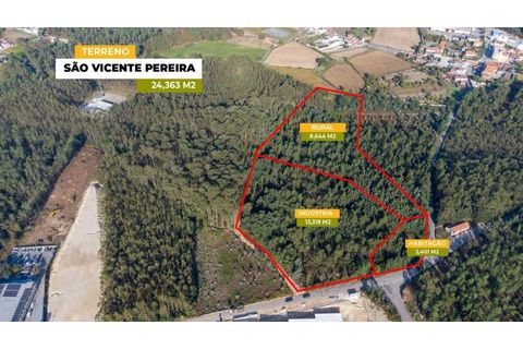 Helårsgrund i Ovar, Aveiro, Ovar - € 399.900 | Ref: 34550891 - foto 2