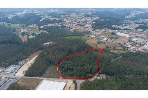 Helårsgrund i Ovar, Aveiro, Ovar - € 399.900 | Ref: 34550891 - foto 6