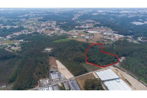 Helårsgrund i Ovar, Aveiro, Ovar - € 399.900 | Ref: 34550891 - foto 7